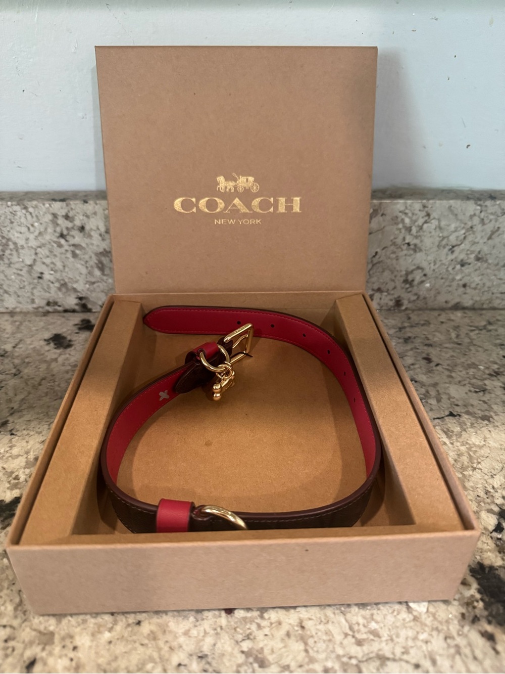 NWT Coach Signature Leather Dog Collar Brown Red Gold w/Charm LARGE 17” - 21”
